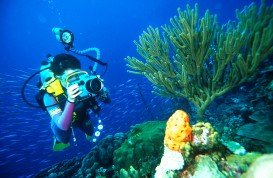 The Passage, Raja Ampat Islands