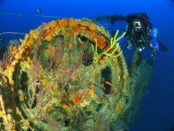 Hydro Atlantic Wreck, Fort Lauderdale