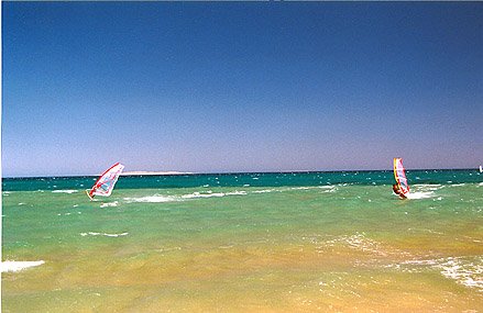 "Wind Surfing in Hurghada Bay"