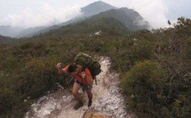 Gunung Tahan, Taman Negara National Park