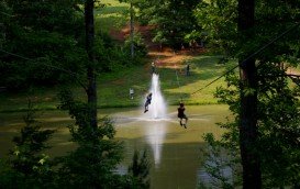 North Georgia Canopy Tours, Athens, Clarke County