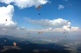 Fortin de las Flores, Orizaba