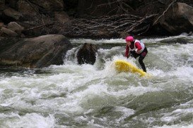 Gauley River, Vector