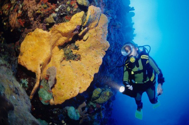 "Saba Scuba Diver"