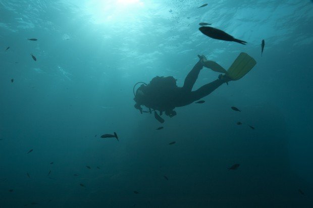 "Scuba Diving at Akrotiri Reef"