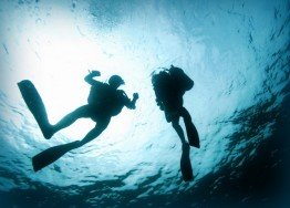 Angies Point, Mombasa Marine Park