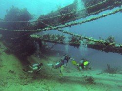 Antilla Wreck, Aruba