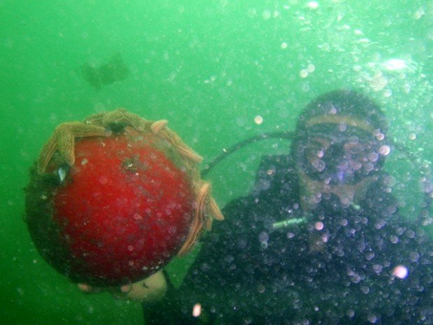 “Scuba Diving at Rockaway Beach”