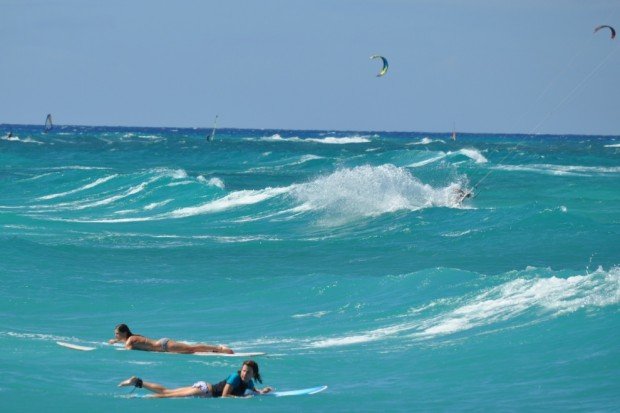 ''Surfing at Surfer's Point Image 6''