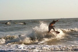 The Cove, Sandy Hook