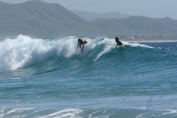 "Surfing at Zippers"