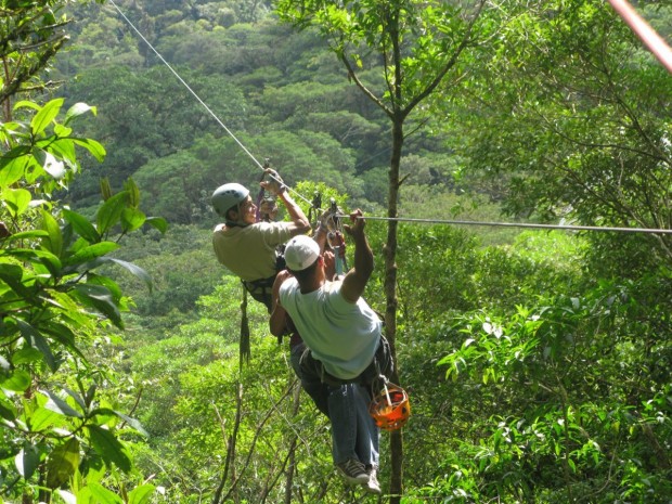 "Zip while Canopying in Aventure Parc"