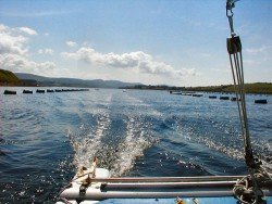 Bantry Bay, Cork