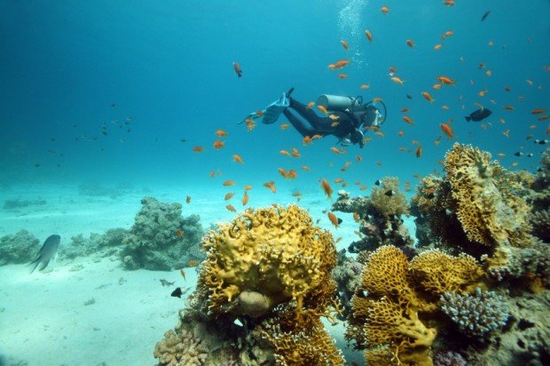 ''Scuba Diving at Airport Wall''