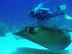 Ray Point, Sosua