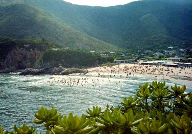 "Surfing at Big Wave Bay"