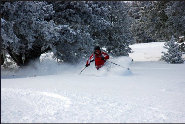 "Alpine Skiing in Snow Trails"