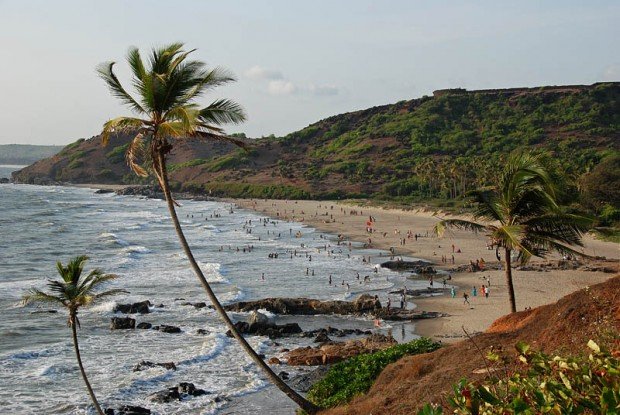 "Kitesurfing at Morjim Beach"