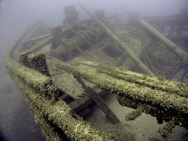 Scuba Diving in Martin Stalker wreck