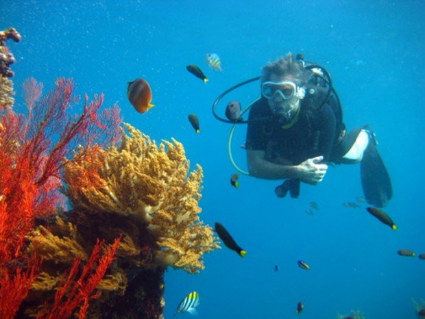 "Jemeluk Bay Scuba Diving"