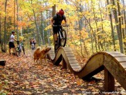 Time Trial Loop, Houghton