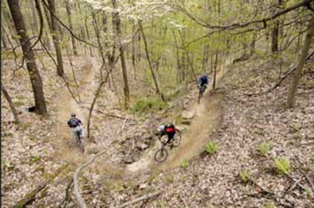 "Mountain Bikers in Pike State Forest APV Area - Outer Loop"