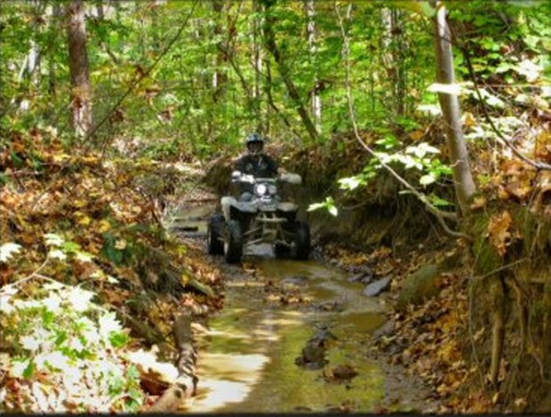 "Pike State Forest Quad Biking"