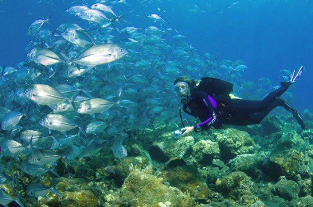 "Scuba Diver in Lipah Bay"