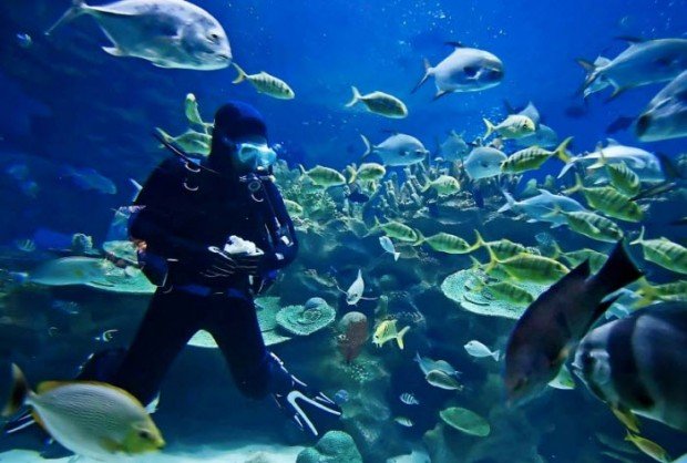 "Scuba Diving in Lipah Bay"