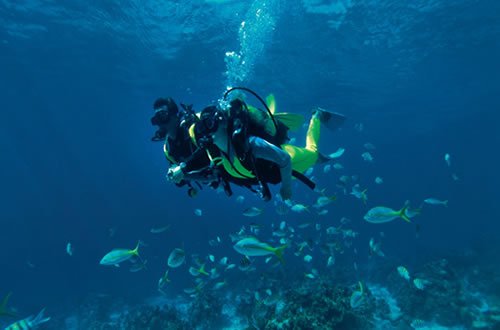 ''scuba diving at Playa El Coral''
