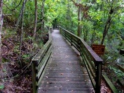 LeFleur’s Bluff State Park, Jackson