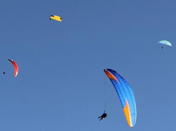 "Paragliders"