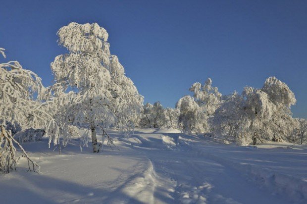 "Slopes in the forest in Abzakovo Ski Resort"