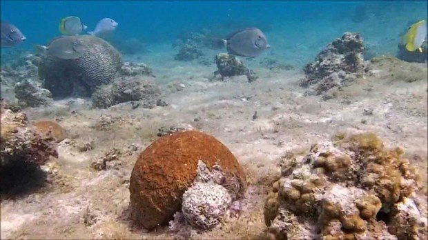 ''scuba diving at Playa Pesquero''