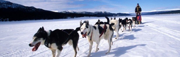 “Dog Sledding at Lutsen Mountains”