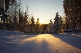 Golden Dolina Ski Resort, St. Petersburg