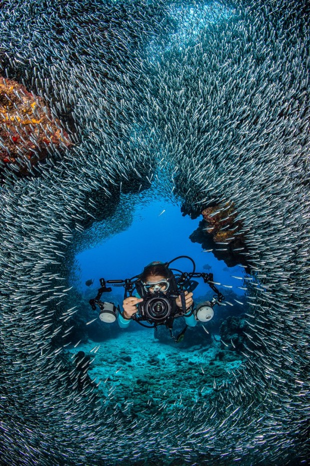 ''Scuba Diving at Devil's Grotto''