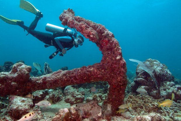 ''Scuba Diving at Flying Reef''