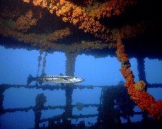 WIT Shoal Wreck, Saint Thomas