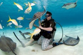 Stingray City, Grand Cayman