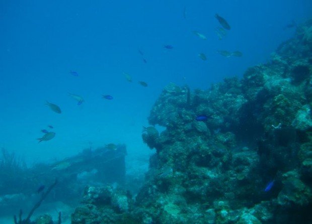 ''Scuba Diving at Dive Flag''