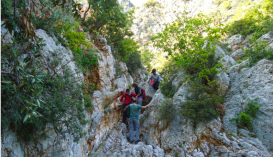 Daphnona Gorge, Leonidio