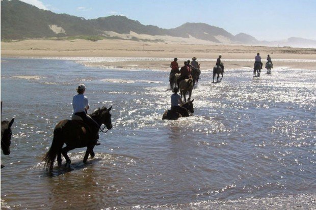 "Horseback Riding at Cher-a-Don Mkulu Kei Horse Trail"