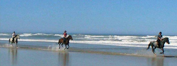 "Horseback Riding at Cher-a-Don Mkulu Kei Horse Trail"
