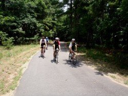 Harpers Loop, North Little Rock