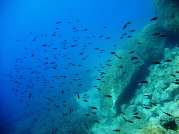 ''Scuba Diving in Corfu Island''