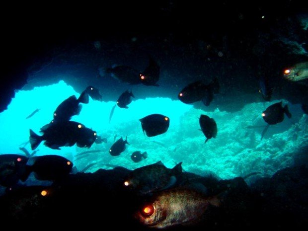 "Scuba Diving at Neptunes Cave"