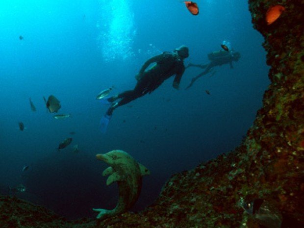 "Scuba Diving at Tunel del Dofi ( Dolphin's Cave )"