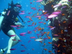 Nissaki Wall, Corfu Island