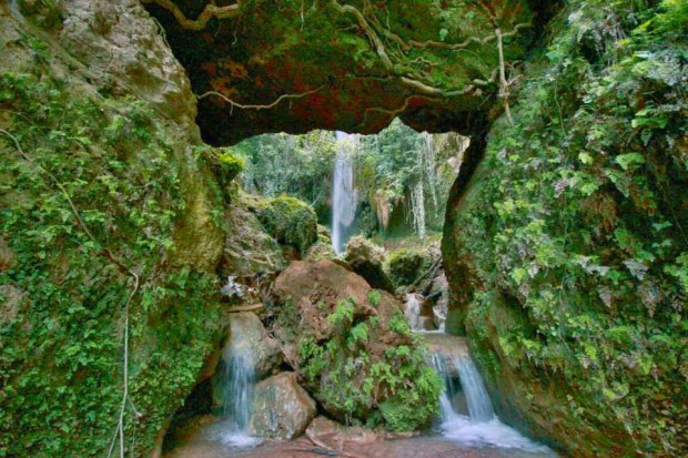 ''Trekking in Folois Forest, Hleia''